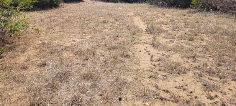 0 Bedroom Property for Sale in Dana Bay Western Cape